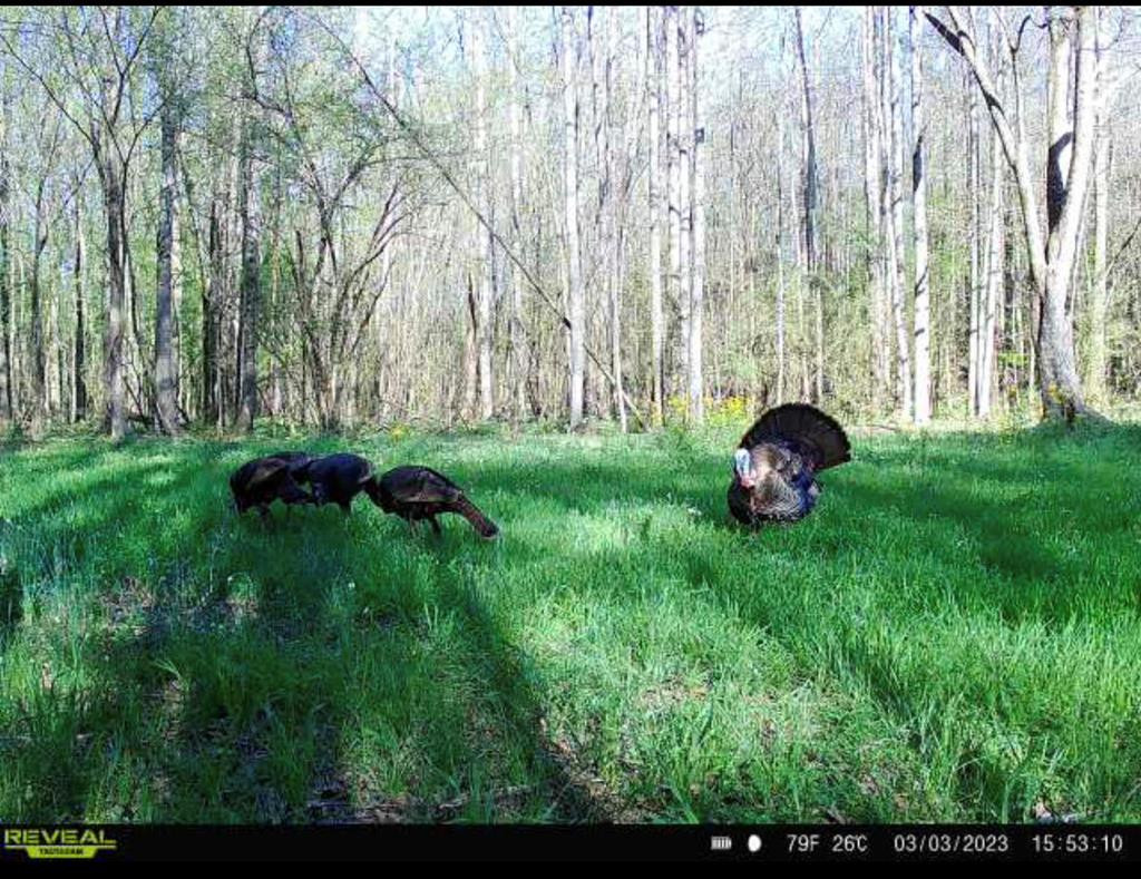 1 Midway Road Wesson, MS 39191 - Photo 29 of 33 Photo 29