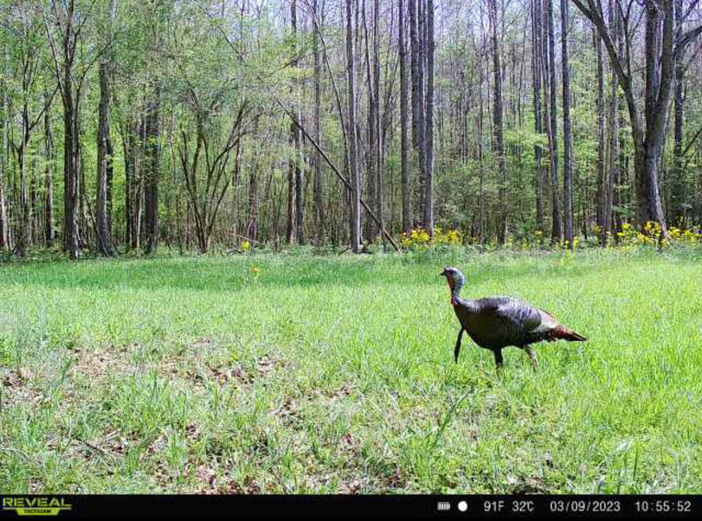 1 Midway Road Wesson, MS 39191 - Photo 33 of 33 Photo 33
