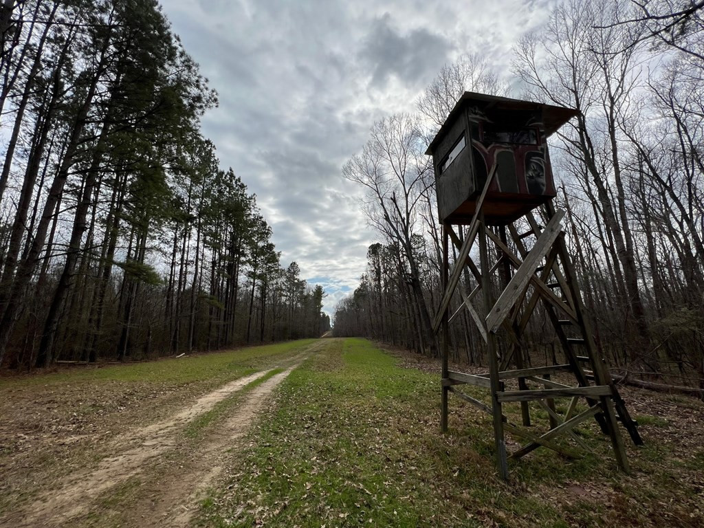 1 Midway Road Wesson, MS 39191 - Photo 6 of 33 Photo 6