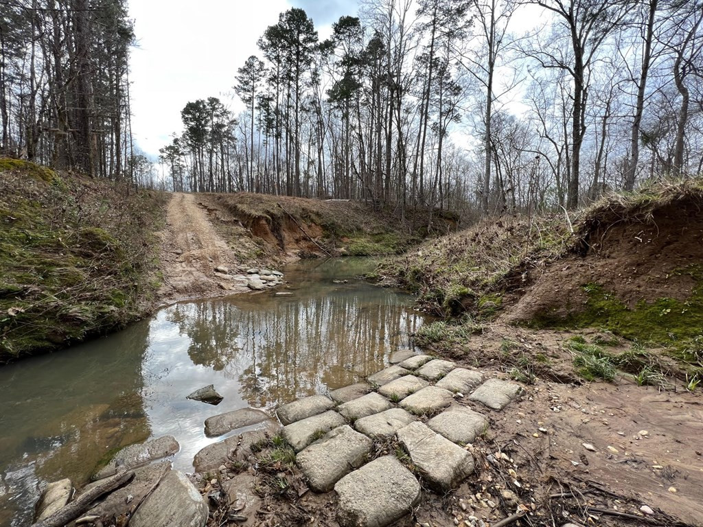 1 Midway Road Wesson, MS 39191 - Photo 8 of 33 Photo 8