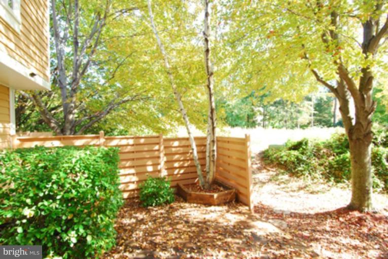 1556 Deer Point Way Reston, VA 20194 - Photo 3 of 30 Back yard