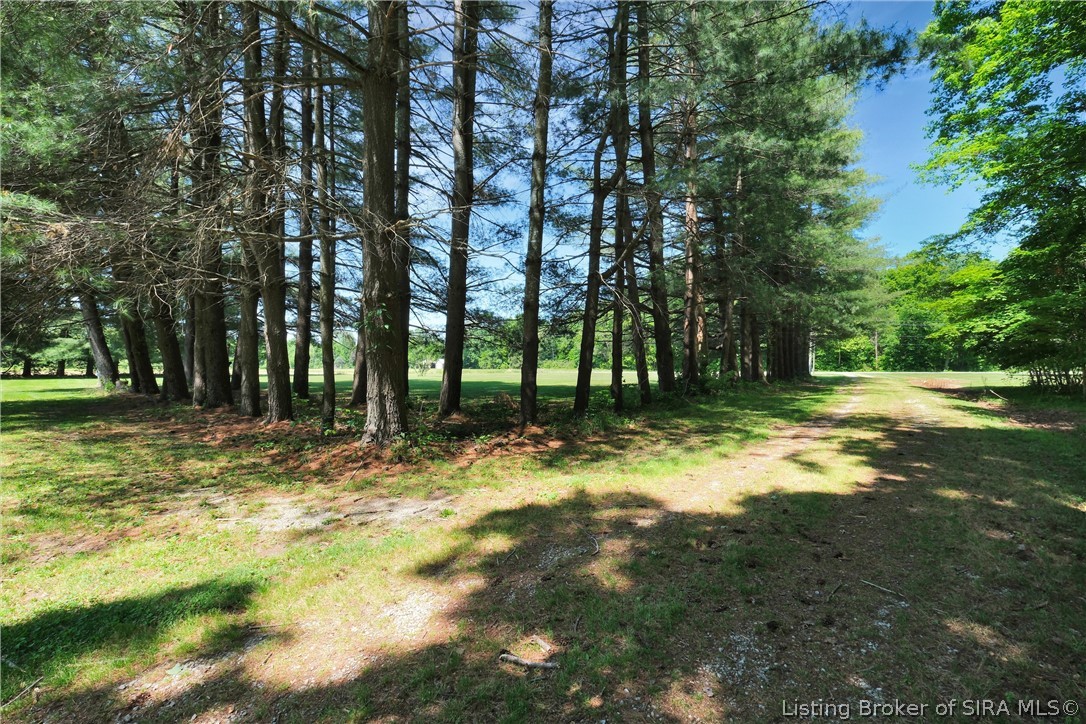 4420 Fox Road Charlestown, IN 47111 - Photo 87 of 94 2nd parcel woods