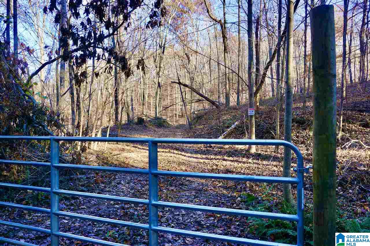 0 Whites Gap Road Jacksonville, AL 36265 - Photo 2 of 31