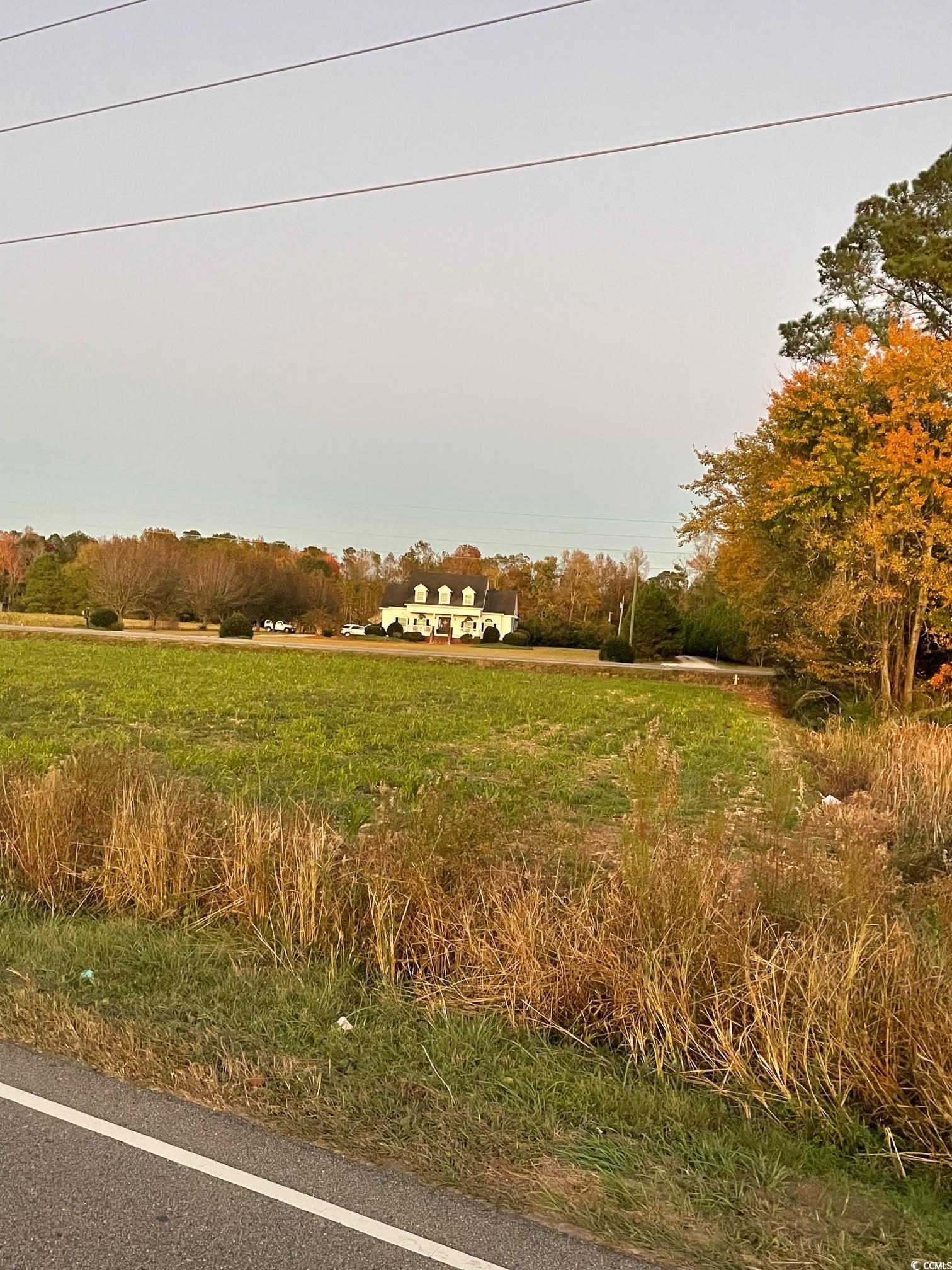 Tbd Pea Landing Road Northwest Ash, NC 28420 - Photo 2 of 14 View of nature