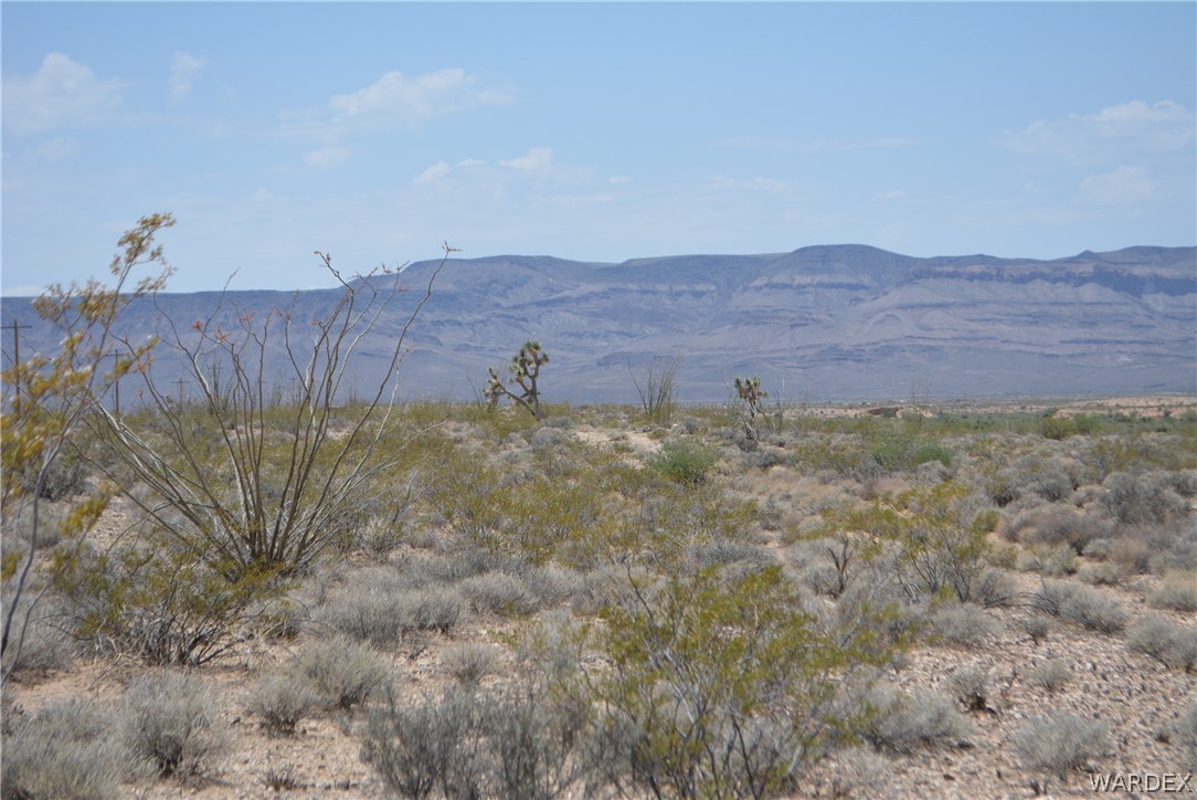 208-24-134 Cameron Road Yucca, AZ 86438 - Photo 12 of 86