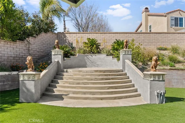 a view of a yard with plants