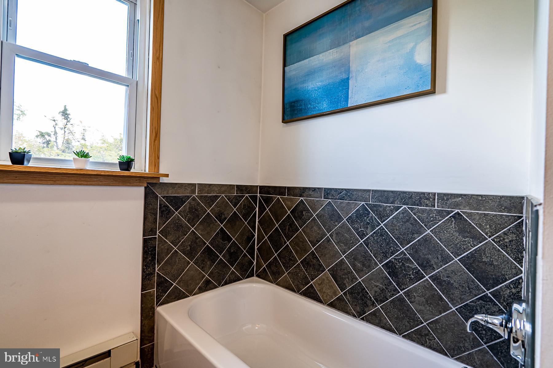1610 Mill Road Perkasie, PA 18944 - Photo 26 of 61 Hall tub no shower