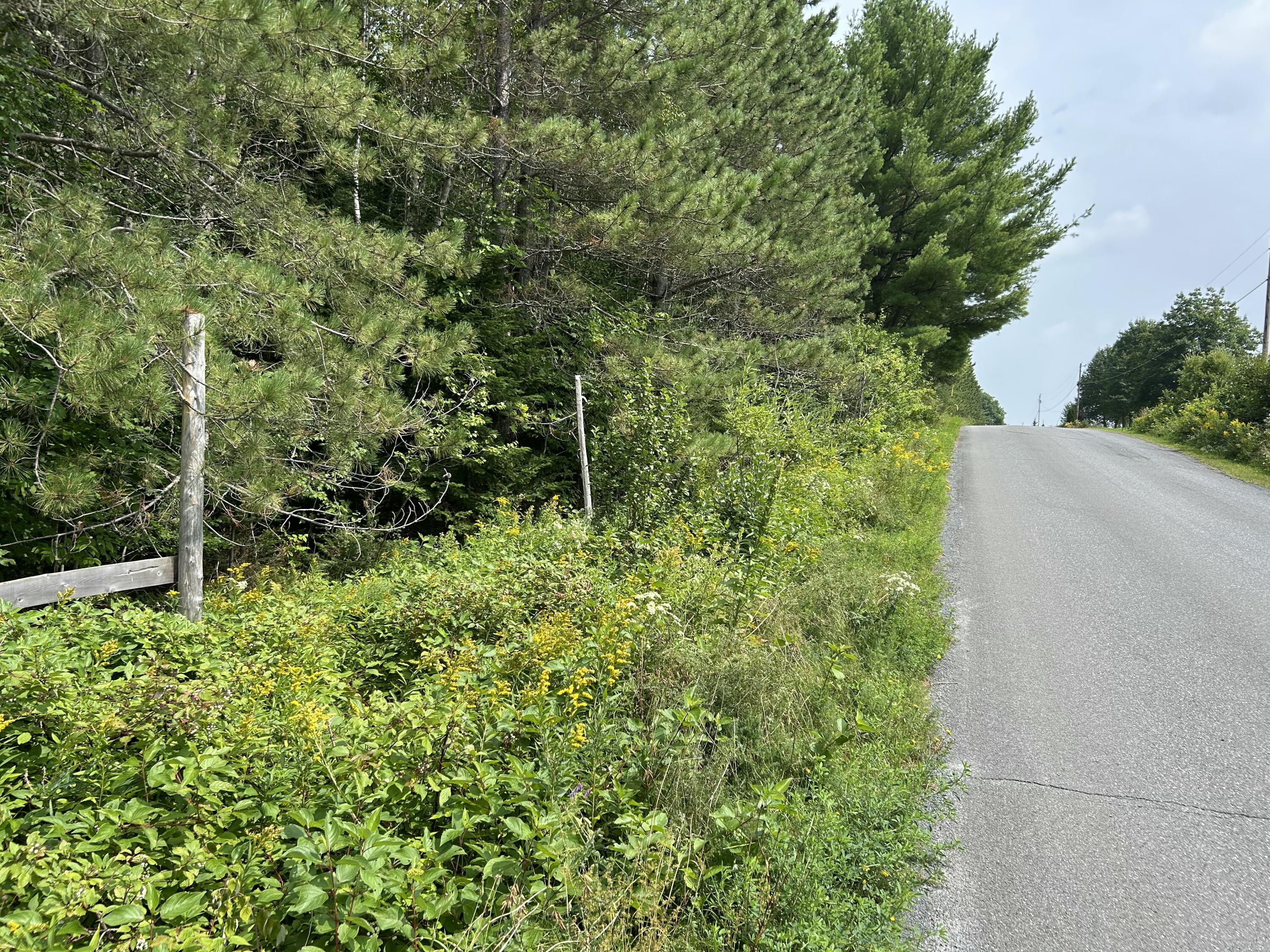 272 E Road New Sweden, ME 04762 - Photo 9 of 41 IMG_9739