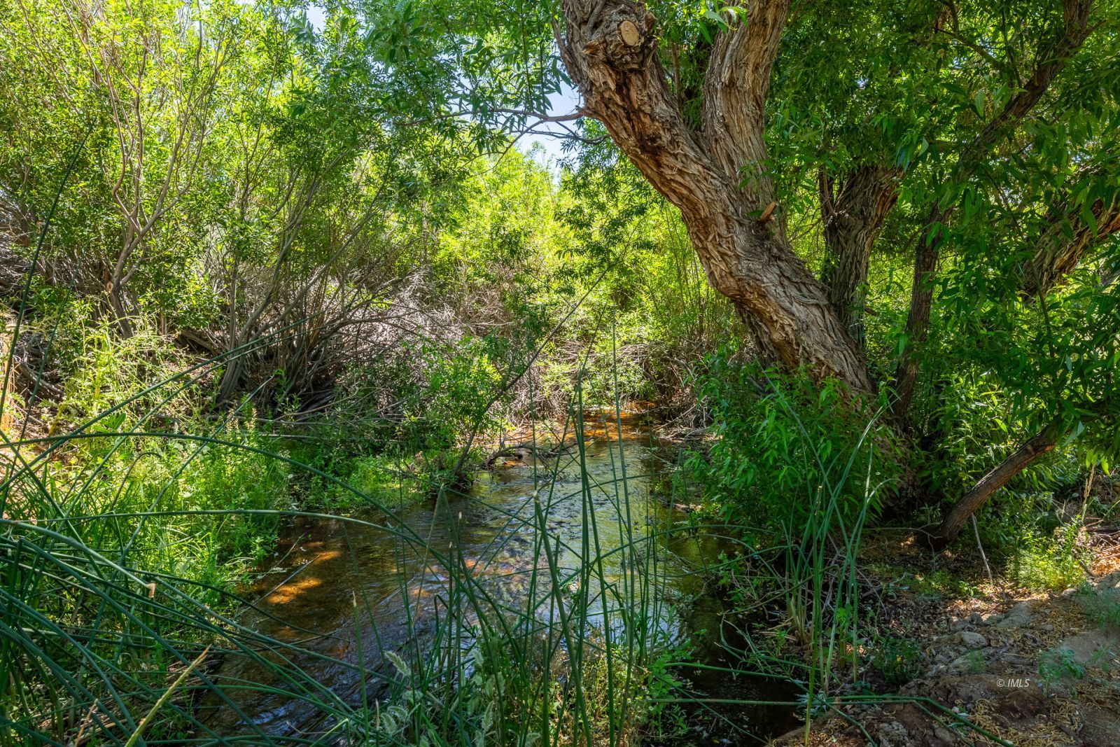 925 McDonald Road Lone Pine, CA 93545 - Photo 32 of 35 Creek