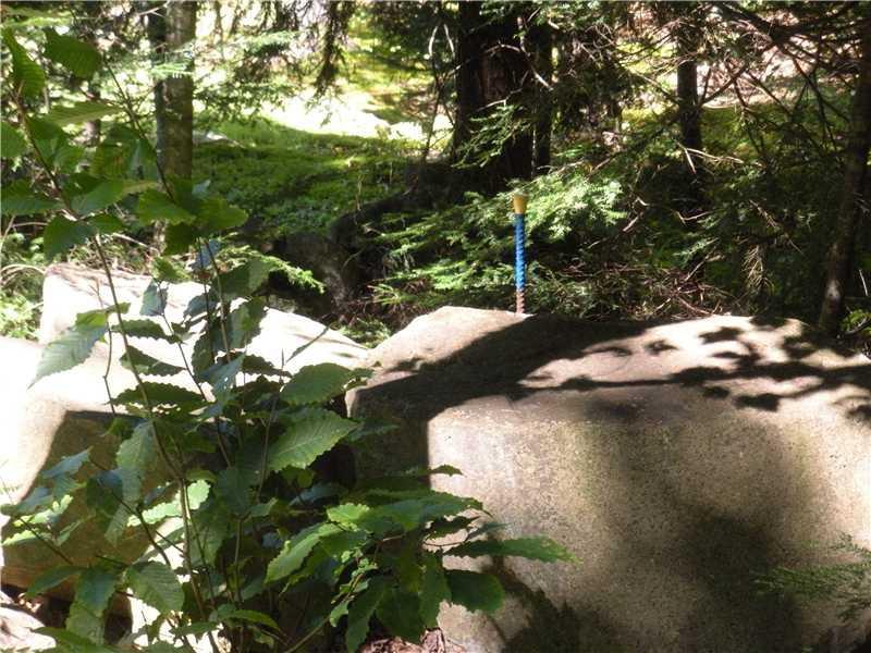 Lot 21 Hussey Road Parsonsfield, ME 04047 - Photo 7 of 15 Land. west corner property iron...