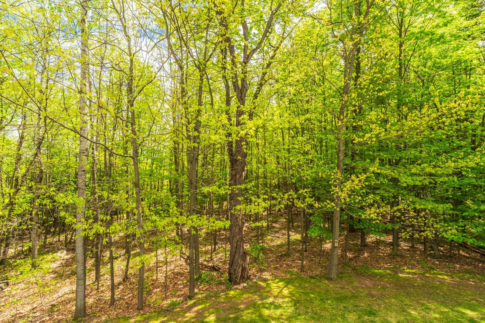 405 Rimrock Road Wausau, WI 54401 - Photo 56 of 60