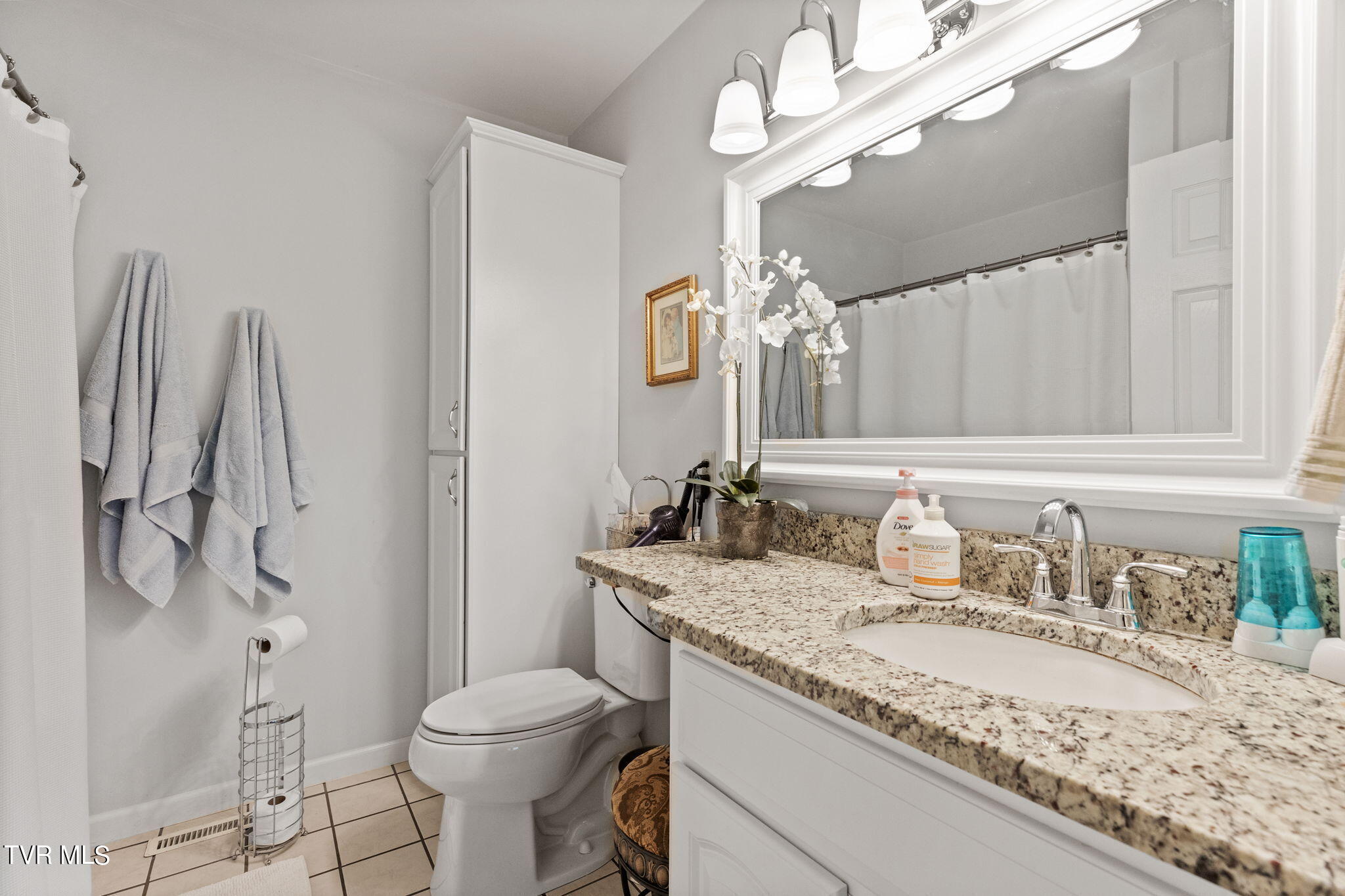 1026 Haw Ridge Road Piney Flats, TN 37686 - Photo 25 of 47 Main level bath