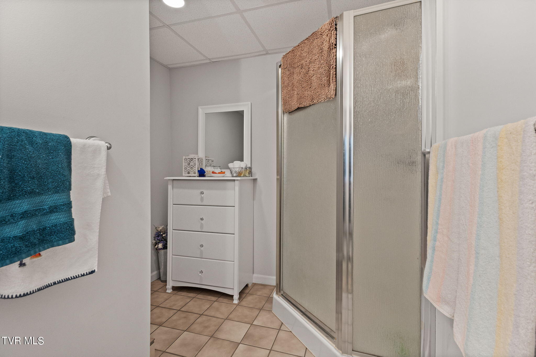1026 Haw Ridge Road Piney Flats, TN 37686 - Photo 33 of 47 Lower level bath with shower