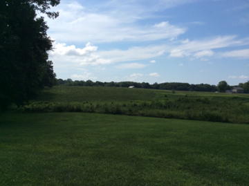 205 R S Marcum Road Oneida, TN 37841 - Photo 10 of 33 IMG_2557