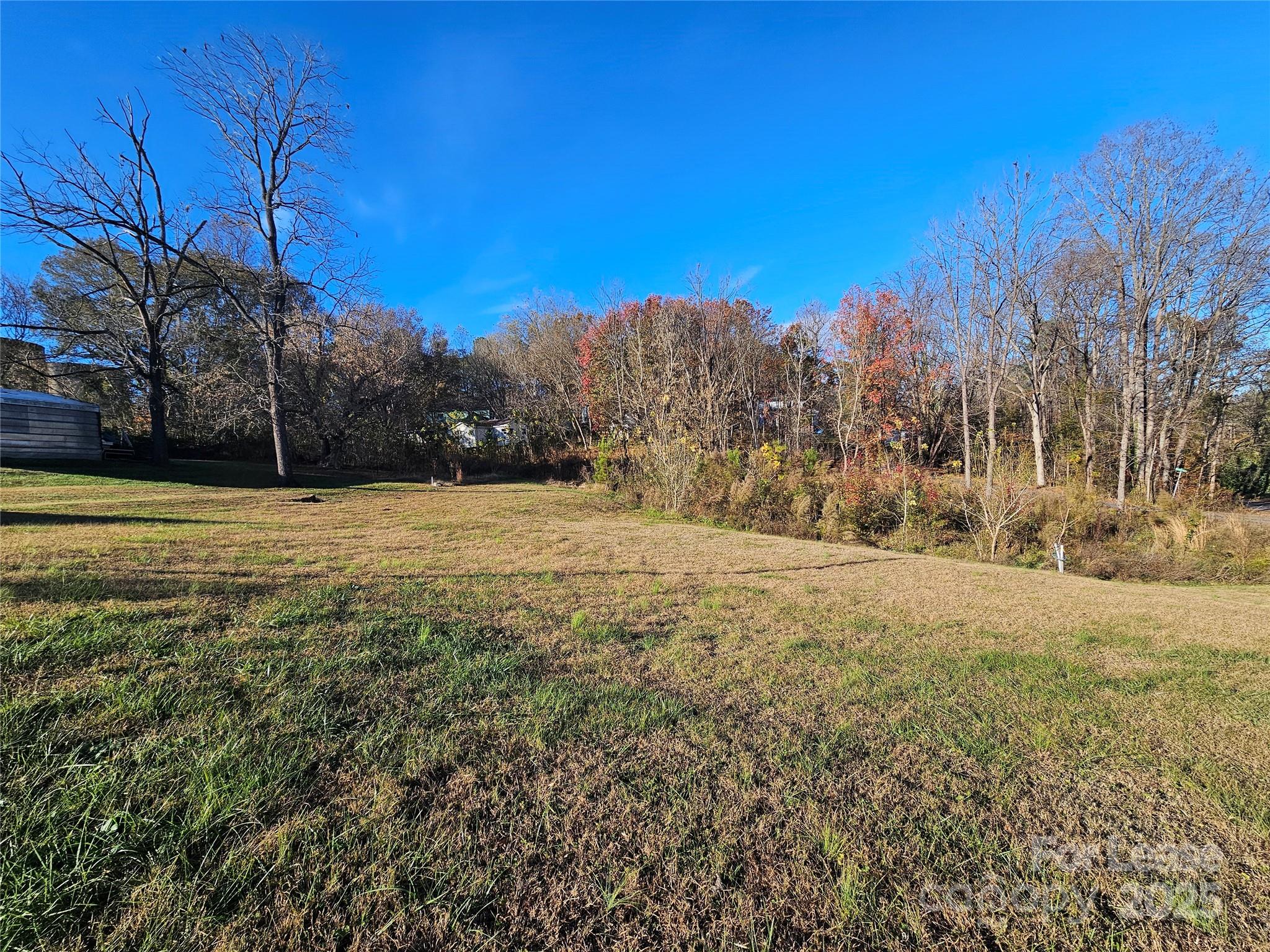 208 West Main Street Lawndale, NC 28090 - Photo 15 of 15 a view of large trees with a yard