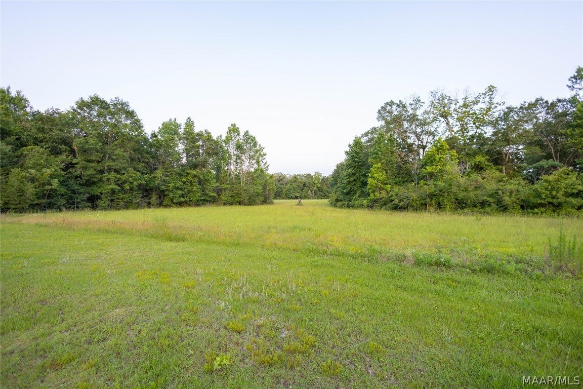 921 Mixon Miller Road Samson, AL 36477 - Photo 50 of 54 Gallery Image 50