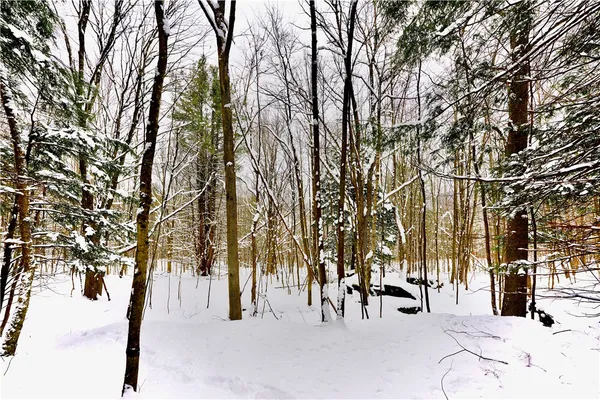 $159,000 | Quail Ridge Road, Margaretville, NY 12455