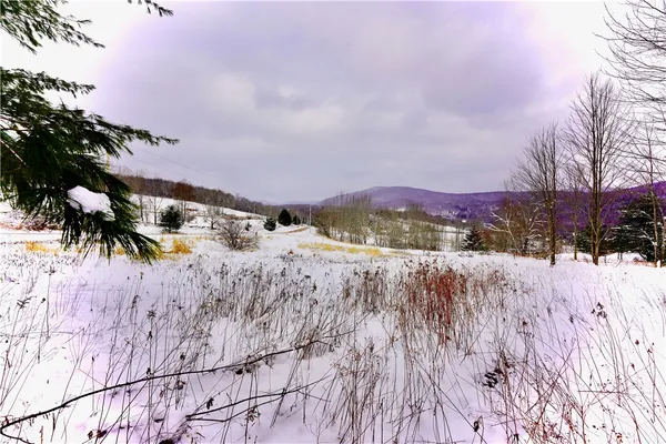 $159,000 | Quail Ridge Road, Margaretville, NY 12455