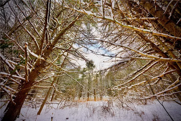 $159,000 | Quail Ridge Road, Margaretville, NY 12455