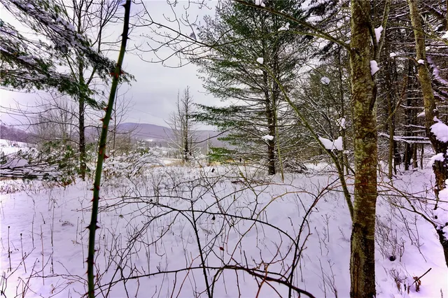 $159,000 | Quail Ridge Road, Margaretville, NY 12455