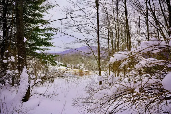 $159,000 | Quail Ridge Road, Margaretville, NY 12455