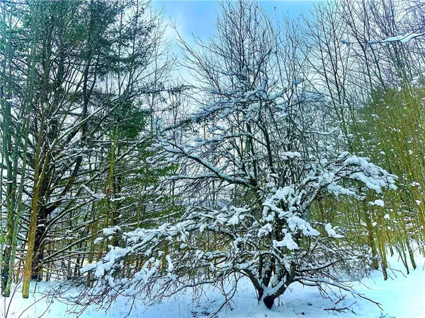 $159,000 | Quail Ridge Road, Margaretville, NY 12455