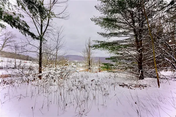$159,000 | Quail Ridge Road, Margaretville, NY 12455
