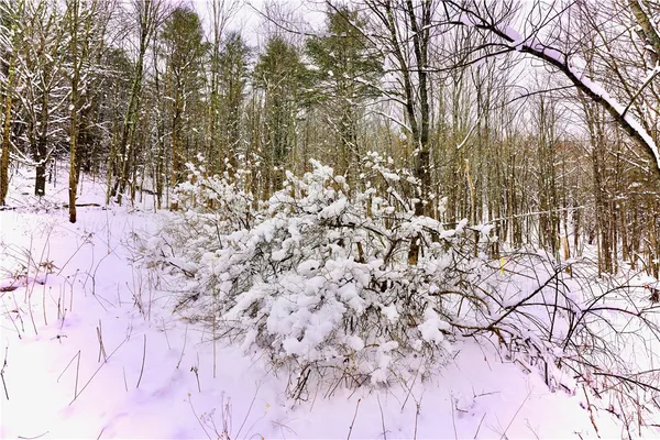 $159,000 | Quail Ridge Road, Margaretville, NY 12455