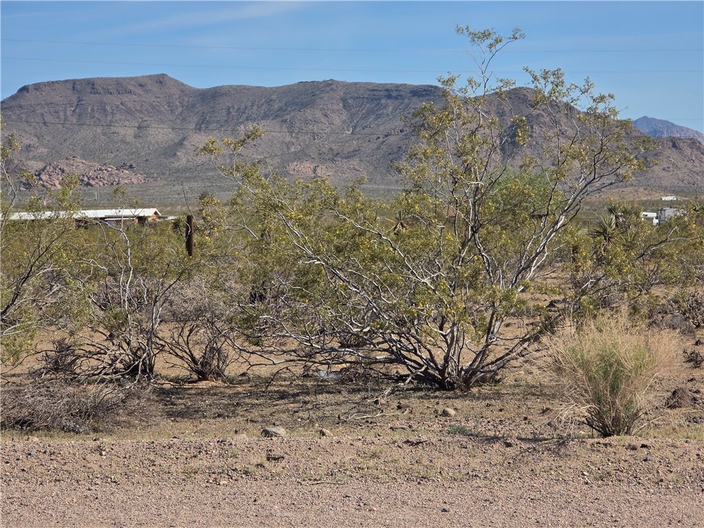 2904 Walnut Creek Road, Unit 2 LOT 5 Golden Valley, AZ 86413 - Photo 3 of 10 The property features a desert landscape with natural vegetation and distant mountains