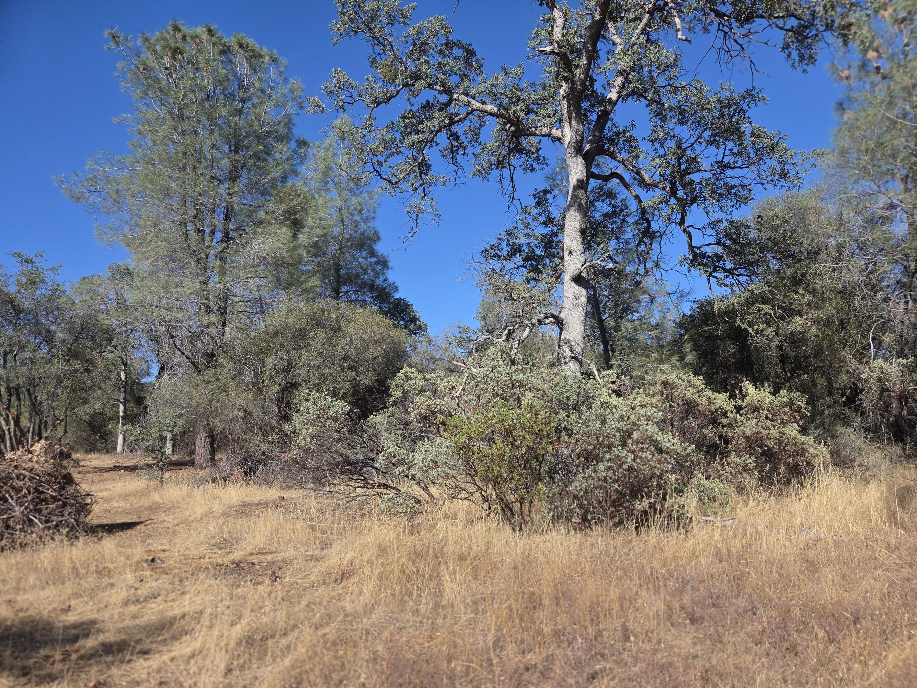 Lot 13 Dersch Road Shingletown, CA 96088 - Photo 9 of 13 PROP V6