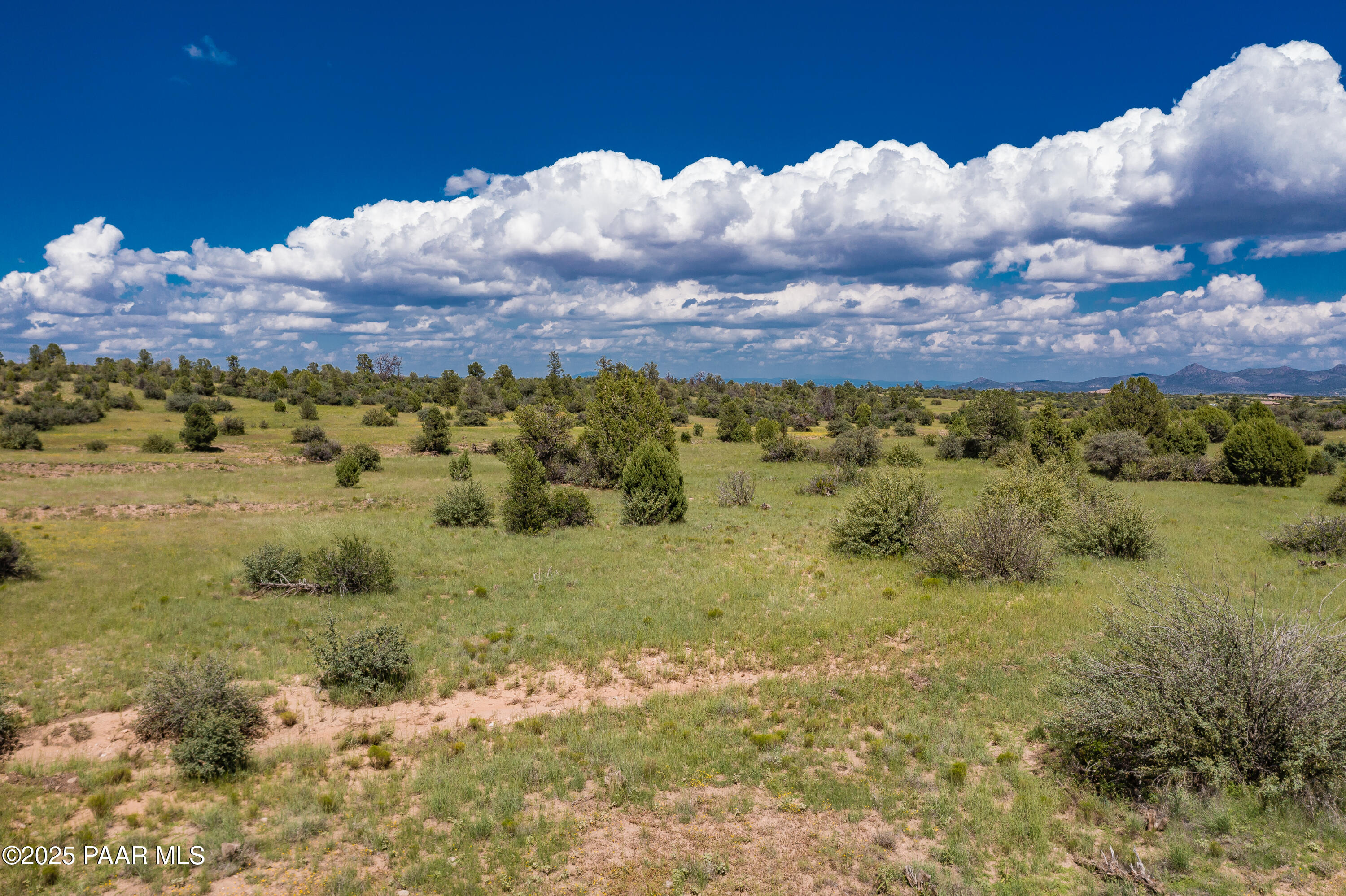 0 North Las Vegas Road Prescott, AZ 86305 - Photo 12 of 15 a view of a bunch of trees and houses