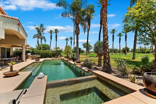a view of a garden with plants