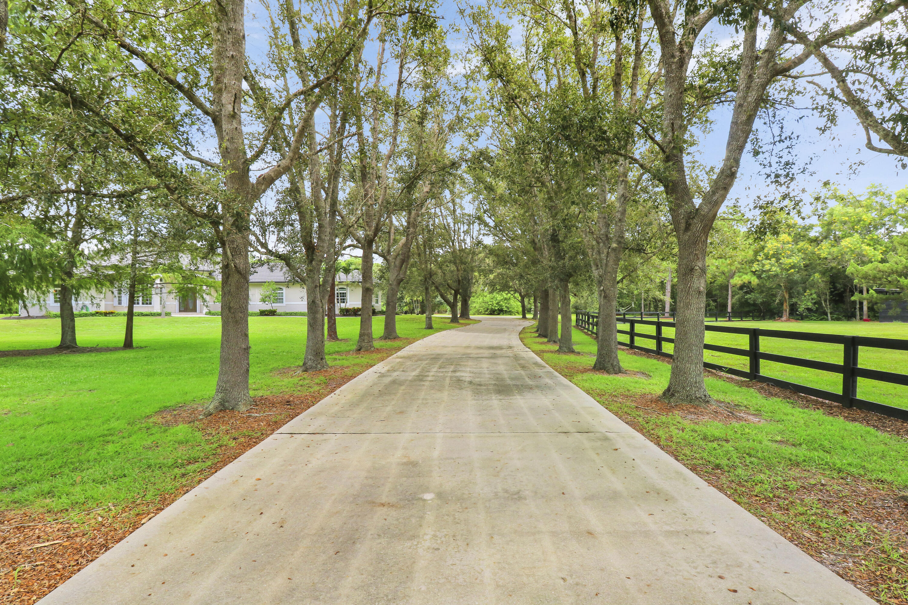 2885 Southeast Ranch Acres Circle Jupiter, FL 33478 - Photo 3 of 44 Oak tree lined driveway