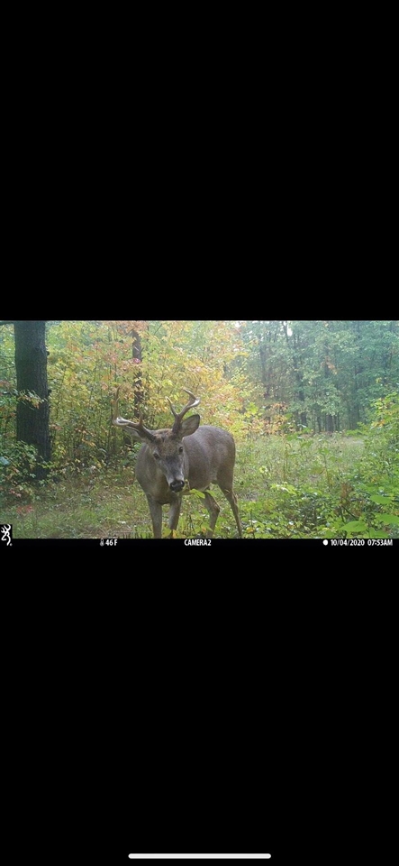 00 Sullivan Road Fremont, MI 49412 - Photo 28 of 32