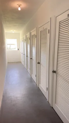 a garden with palm trees