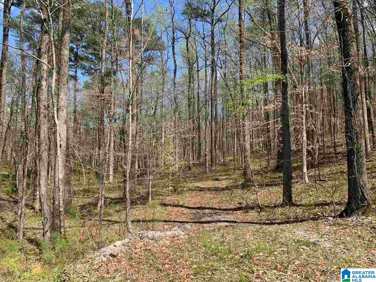 5925 Cahaba Valley Road, Unit 1 Birmingham, AL 35242 - Photo 11 of 21