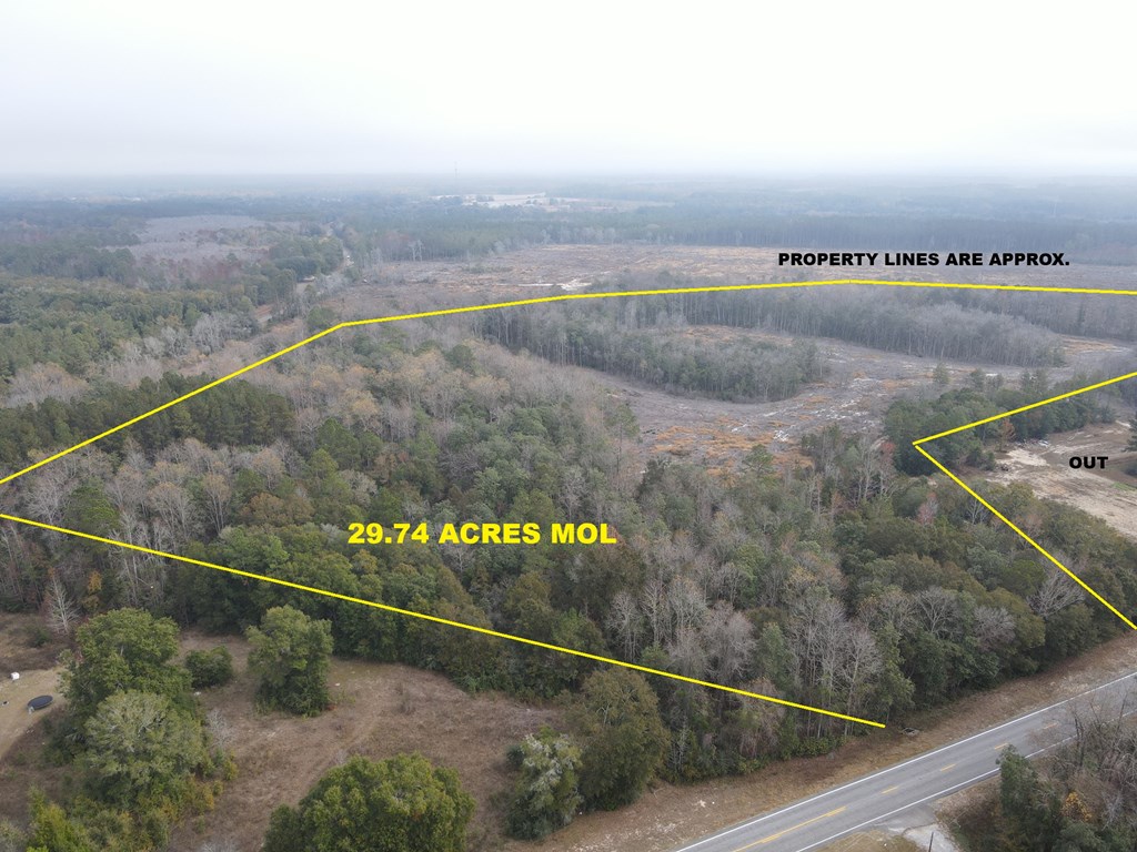 87 Highway 87 Samson, AL 36477 - Photo 2 of 47