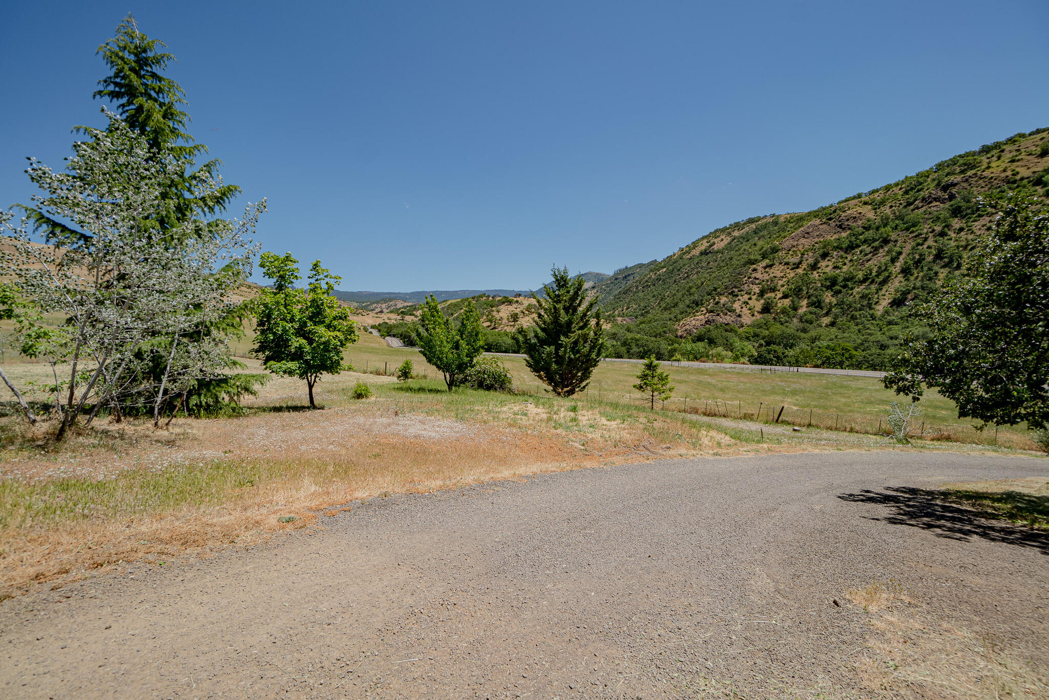 2909 Dead Indian Memorial Road Ashland, OR 97520 - Photo 49 of 75 Driveway Looking Down