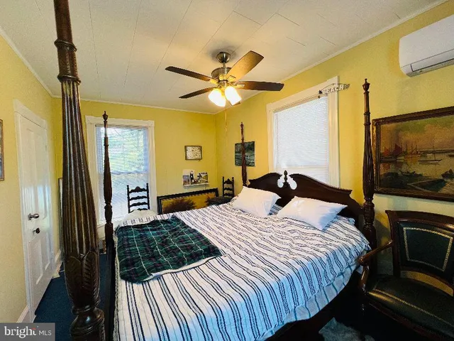 a view of backyard with a large tree