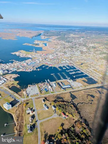 a sign that is sitting in front of flowers