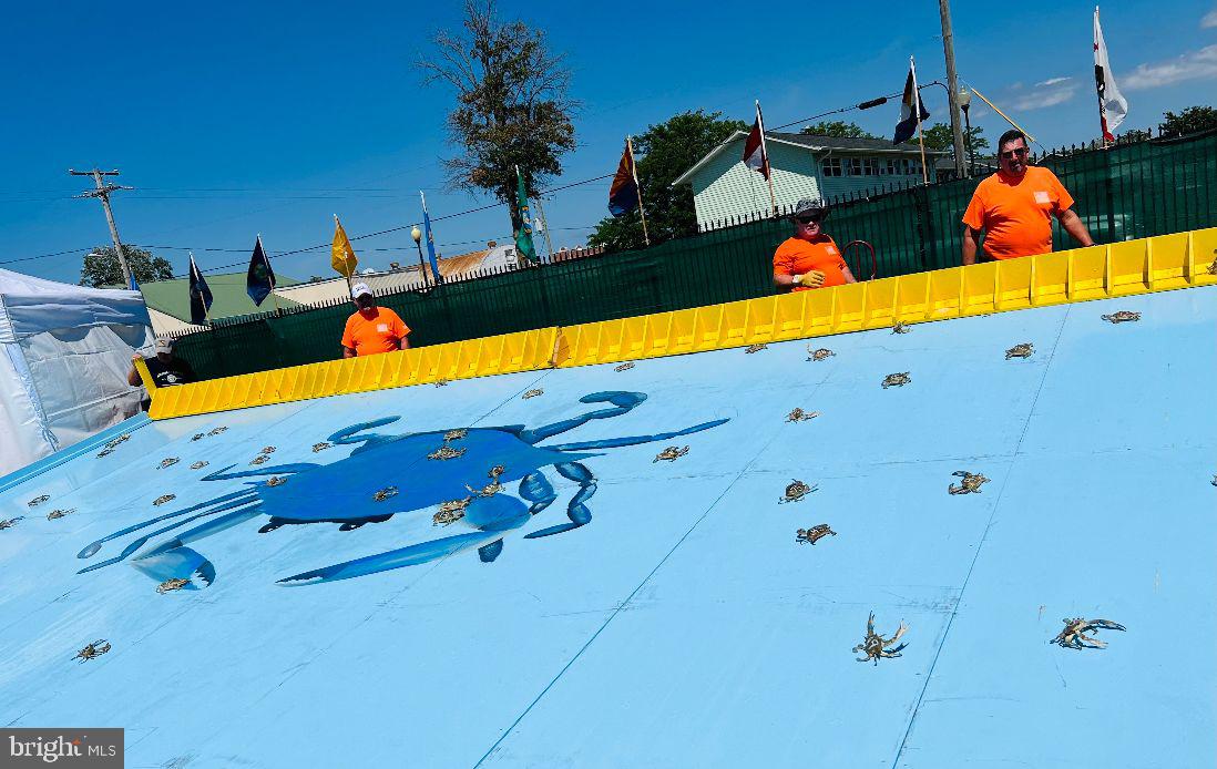 232 North Somerset Avenue Crisfield, MD 21817 - Photo 37 of 42 a view of a living room with a bed
