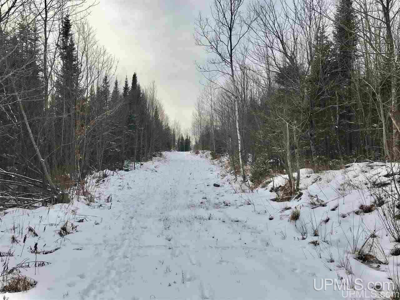 Tbd South Co Rd 519 Highway Bessemer, MI 49911 - Photo 10 of 10