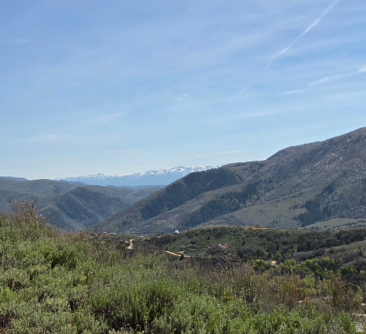 3325 North Oak Cyn Road, Unit 490 Huntsville, UT 84317 - Photo 19 of 25 Expansive mountain landscape featuring distant snow-capped peaks, rolling hillsides, and abundant natural vegetation