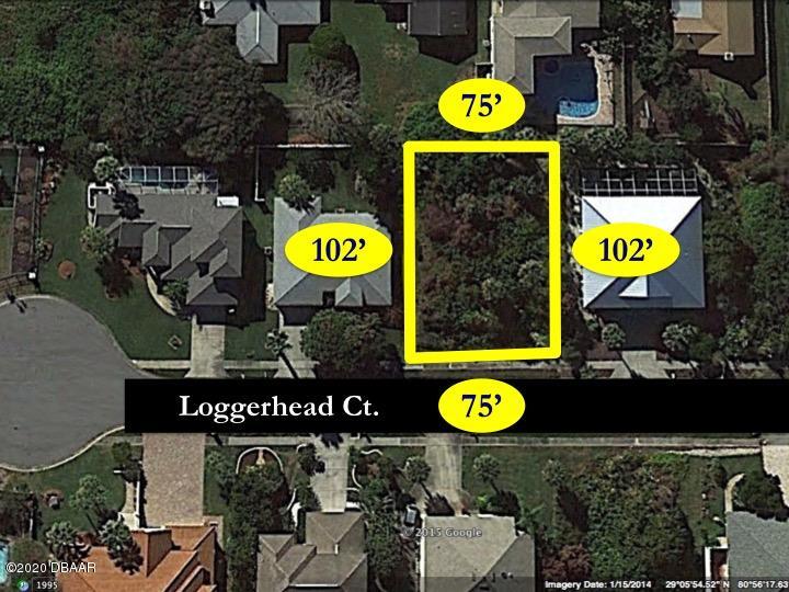 45 Loggerhead Court Ponce Inlet, FL 32127 - Photo 1 of 3 100