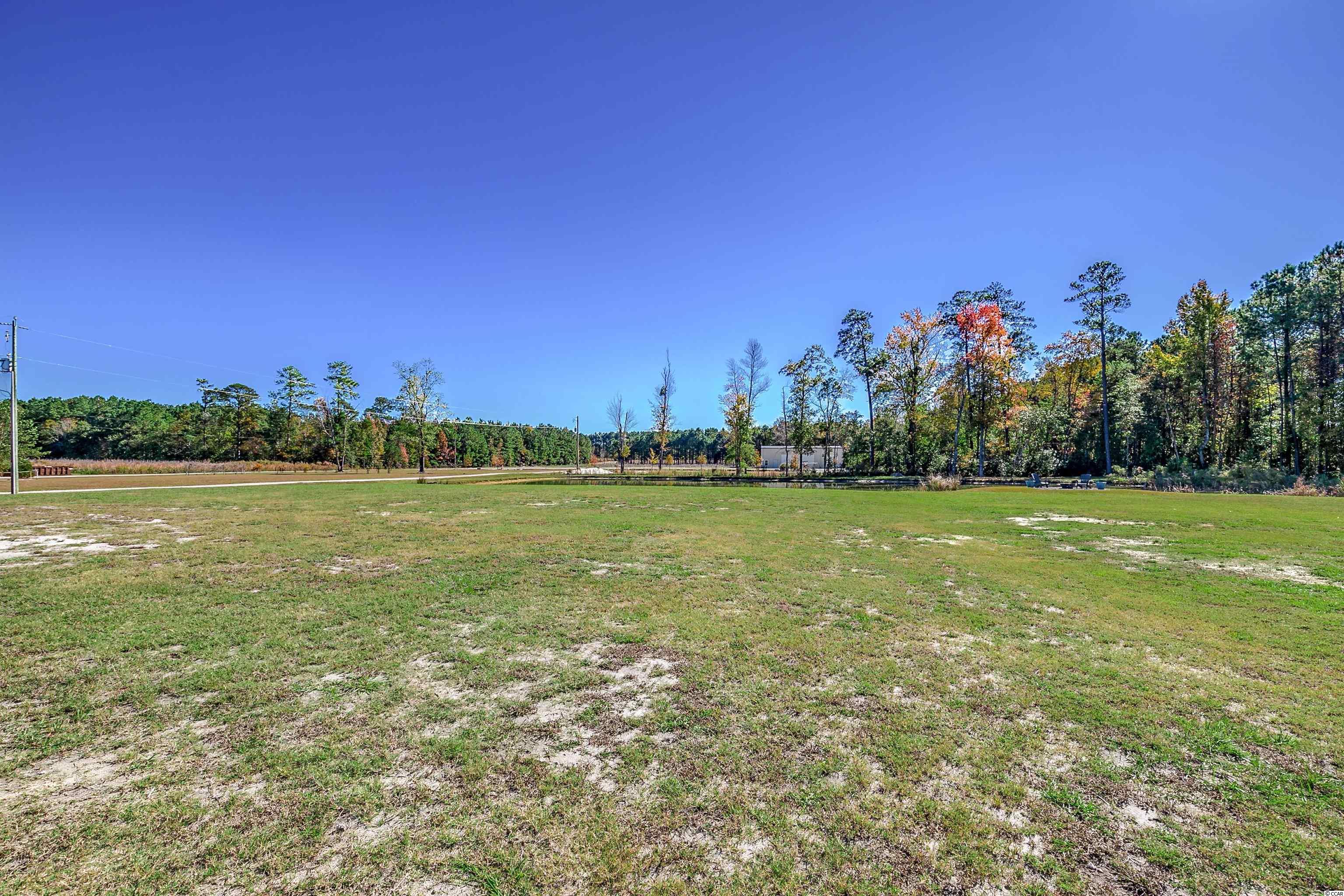 1696 Horry Road Aynor, SC 29511 - Photo 38 of 38 Gallery Image 38