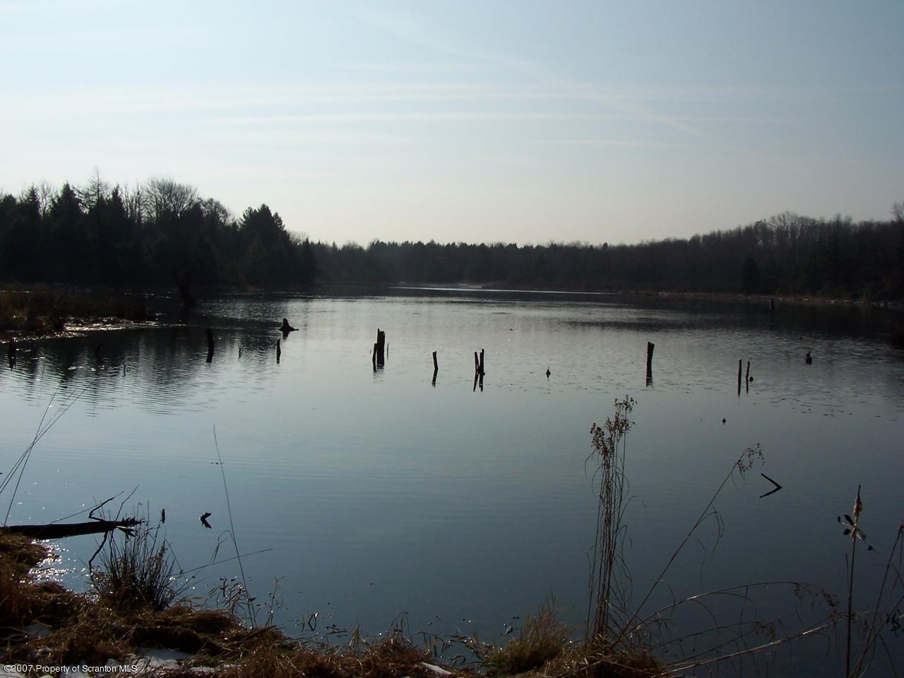 309 Cemetery Road Moscow, PA 18444 - Photo 3 of 21 a view of a lake in middle of forest