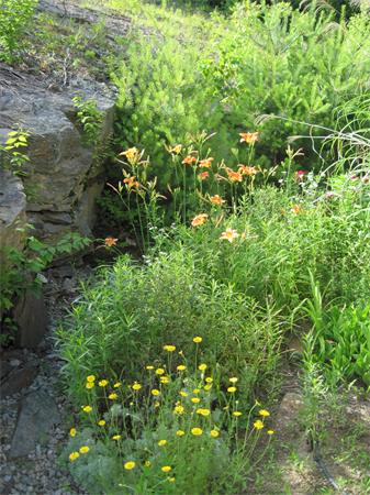 173 East Princeton Road Princeton, MA 01541 - Photo 24 of 30 a view of a plant