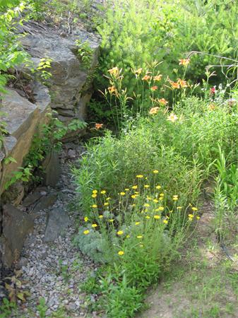173 East Princeton Road Princeton, MA 01541 - Photo 25 of 30 a view of a forest