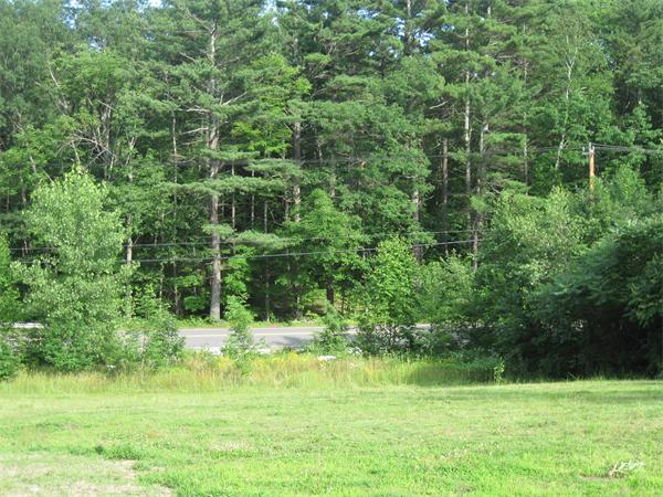 173 East Princeton Road Princeton, MA 01541 - Photo 30 of 30 a view of a garden