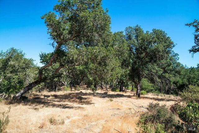 $800,000 | 0 Mount Veeder Rd Street, Napa, CA 94558